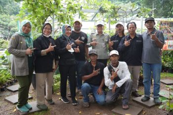 Kementerian Pertanian mendukung pengembangan hulu-hilir anggur tingkat komunitas