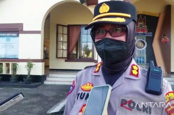 Polisi Bukittinggi masih kejar pelaku penipuan sapi kurban