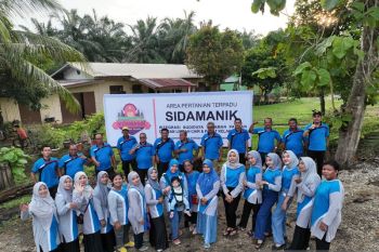 Proklim bikin Tanjung Medan hijau dan nyaman