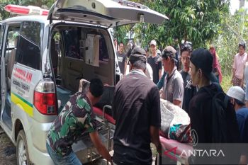 Enam korban tewas akibat tambang emas longsor di Kalsel