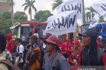 Walhi Sumsel dampingi petani tuntut jaminan hak tanah