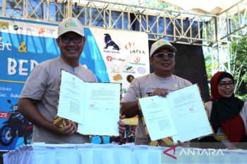 NFA handles stunting-prone regions through BS2A-Dashat