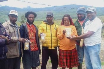 Bank Papua membantu warga Jayawijaya budi daya kedelai