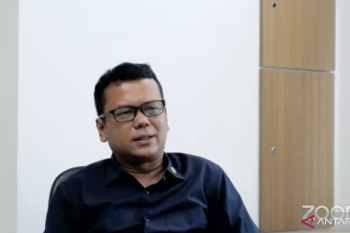 Rice production pulled Indonesia out of food crisis: official