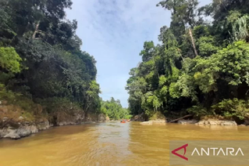 Hutan Adat Serampas jadi bagian penilaian Tim UNESCO UGG-Geopark Merangin