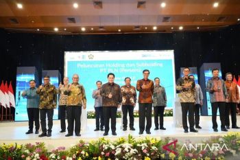 Pembangkit Terkonsolidasi dalam Subholding Genco 1 dan 2, PLN Jadi Penghasil Listrik Terbesar di Asia Tenggara