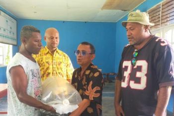 DKP Jayapura bantu 3.000 bibit ikan nila kelompok perikanan