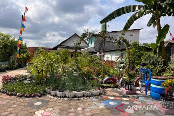 Inovasi kampung sayur bantu meningkatkan skor PPH Yogyakarta