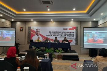 Komisi VI DPR RI ajak IKM Boyolali manfaatkan KUR
