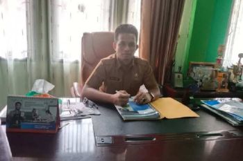 Pesisir Selatan patenkan sejumlah komoditi unggulan lokal