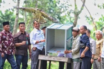 PTPN V dukung penguatan desa wisata Buluh Cina