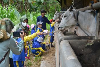 Murid PAUD SRAMBI outing class di Teaching&amp;Exfarm Fapet Unsoed