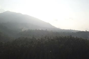 Lampung rehabilitasi hutan