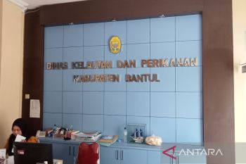 Bantul lebih fokuskan peningkatan produksi perikanan budidaya air tawar