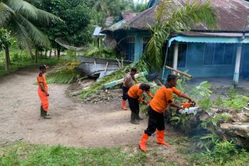 BPBD Agam bersihkan  rumah warga yang tertimpa pohon