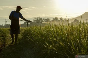 Indonesia to raise food security financing at 2nd ASEAN AFMGM