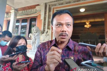 Need commitment to prevent desecration of Bali sacred sites: official