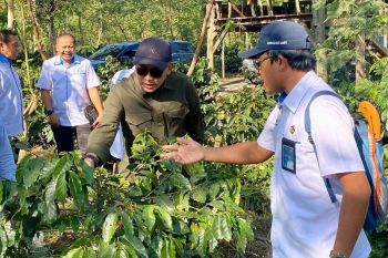 Sinergi PTPN V-PTPN XII kembalikan legenda "Kopi Jawa"