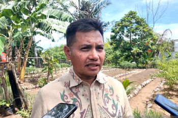 TPID Sumbar perkuat sinergi dan koordinasi guna mengendalikan inflasi