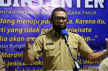 NTT distribusi 500 ton benih padi untuk petani
