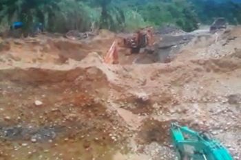 WALHI Sumbar nilai tambang emas ilegal di Pasbar bisa timbulkan bencana ekologi