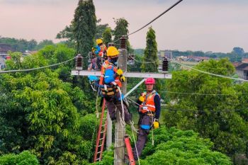 PLN imbau pelanggan jaga keselamatan saat cuaca ekstrem