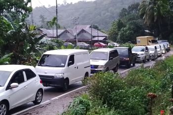 Ratusan kendaraan terjebak macet di Lintas Padang-Bengkulu akibat pohon tumbang