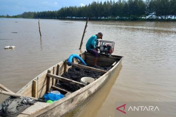KPK minta Kementerian ESDM segera periksa perusahaan tambang di Bengkulu