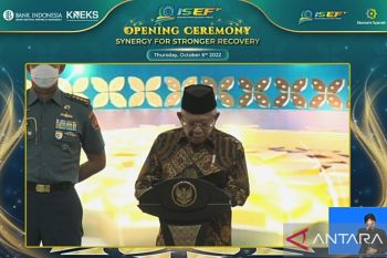 Economic decline, global recession risk growing worse: VP