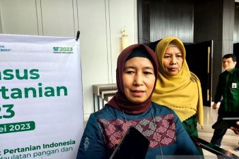 BPS bakal lakukan sensus pertanian untuk kedaulatan pangan