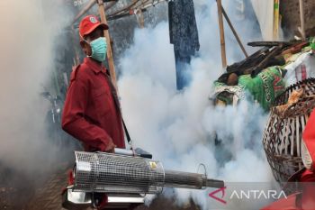Dua warga Pekalongan meninggal dunia karena DBD