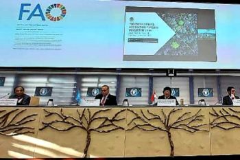 Indonesia releases document on forestry management policies