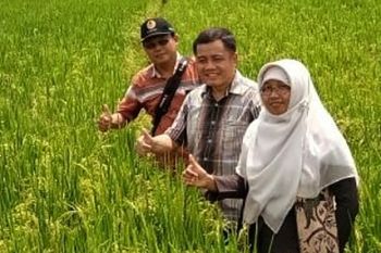 Akademisi Unsoed : Ajak masyarakat berkontribusi dalam ketahanan pangan