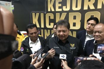 Airlangga: Delapan investor berinvestasi pusat data di KEK Batam