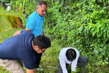 PLN tanam ratusan bibit pohon mahoni untuk jaga kelestarian lingkungan