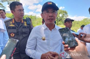Bupati Sigi: Pemerintah beri subsidi ke petani  agar tetap berproduksi