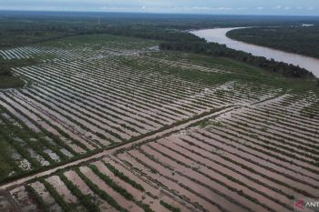 Antisipasi El Nino, Kementan manfaatkan infrastruktur air
