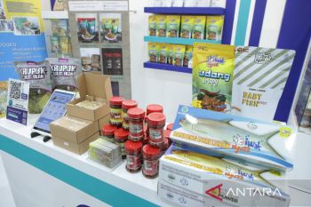 Ribuan produk laris di marketplace PLN, bisnis UMKM ini tumbuh melesat
