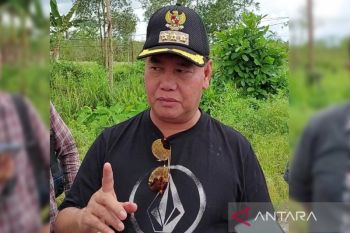Bupati Kotim: Plasma sawit bisa dalam bentuk nilai hasil panen