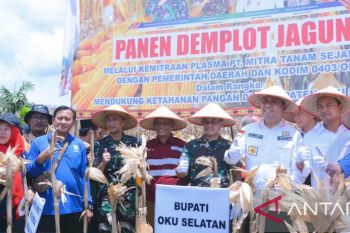 Kabupaten OKU Selatan menjadi daerah penghasil jagung terbesar di Sumsel