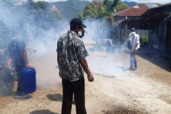 Dinkes Manggarai pantau 13 pasien terinfeksi virus DBD