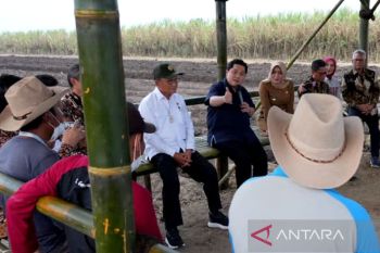 Erick: Indonesia harus bisa produksi bioetanol atasi importasi BBM