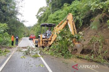 BPBD Agam tangani 87 bencana alam selama 2022