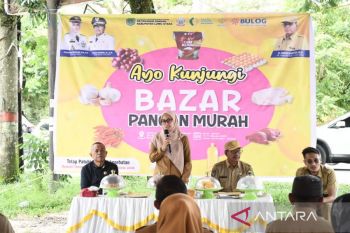 Bupati Luwu Utara buka bazar pangan murah untuk kendalikan inflasi