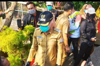 Palembang waspada lonjakan penderita DBD