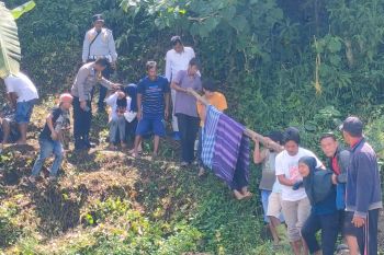 Seorang petani di Agam ditemukan istrinya meninggal di sawah
