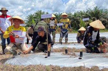Bupati Lamandau ajak masyarakat perkuat ketahanan pangan