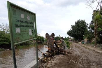 Pemkot Mataram menebang pohon di pinggir kali cegah kerusakan talud