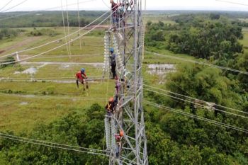 PLN percepat penormalan suplai listrik di Kalimantan Tengah