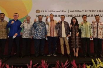 Grup Salim diharapkan perbaiki performa perusahaan PT Bumi Resources